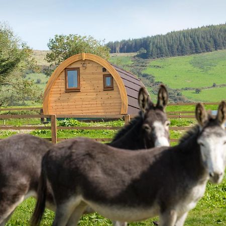 Villa Kilbane Glamping Esterno foto