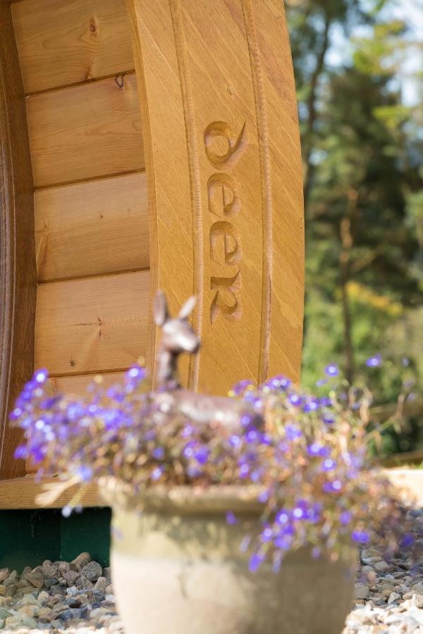 Villa Kilbane Glamping Esterno foto