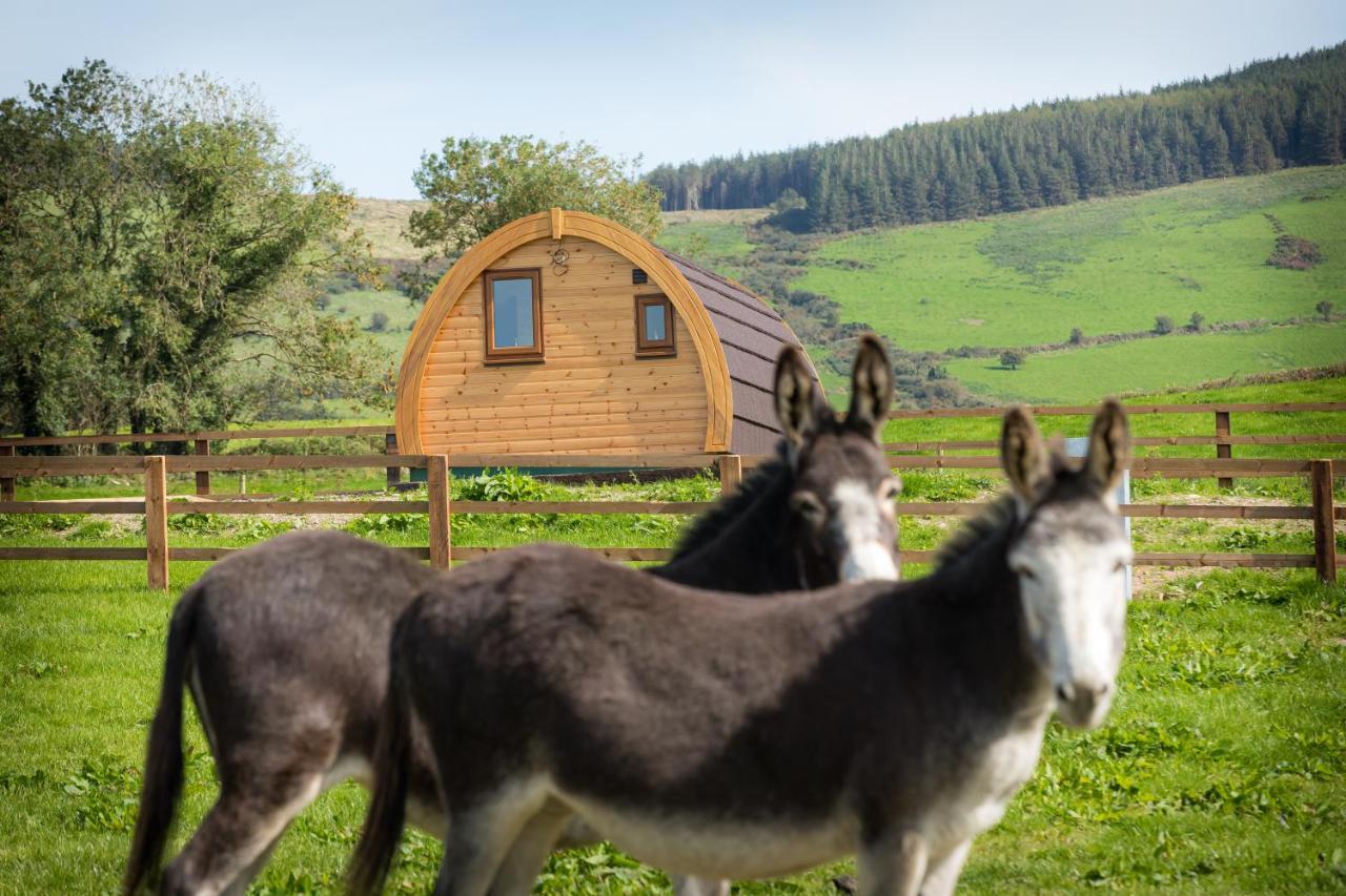 Villa Kilbane Glamping Esterno foto
